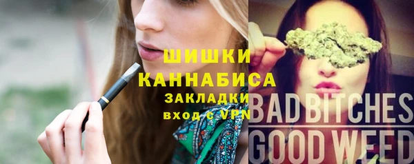 прущий лед Богородицк