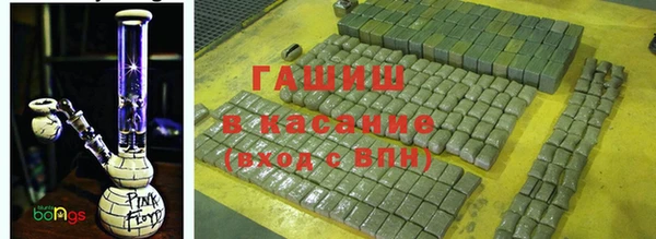дмт Богданович