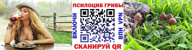 цены наркотик  Дагестанские Огни  Псилоцибиновые грибы Magic Shrooms 